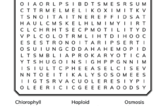 Cell Biology Word Search