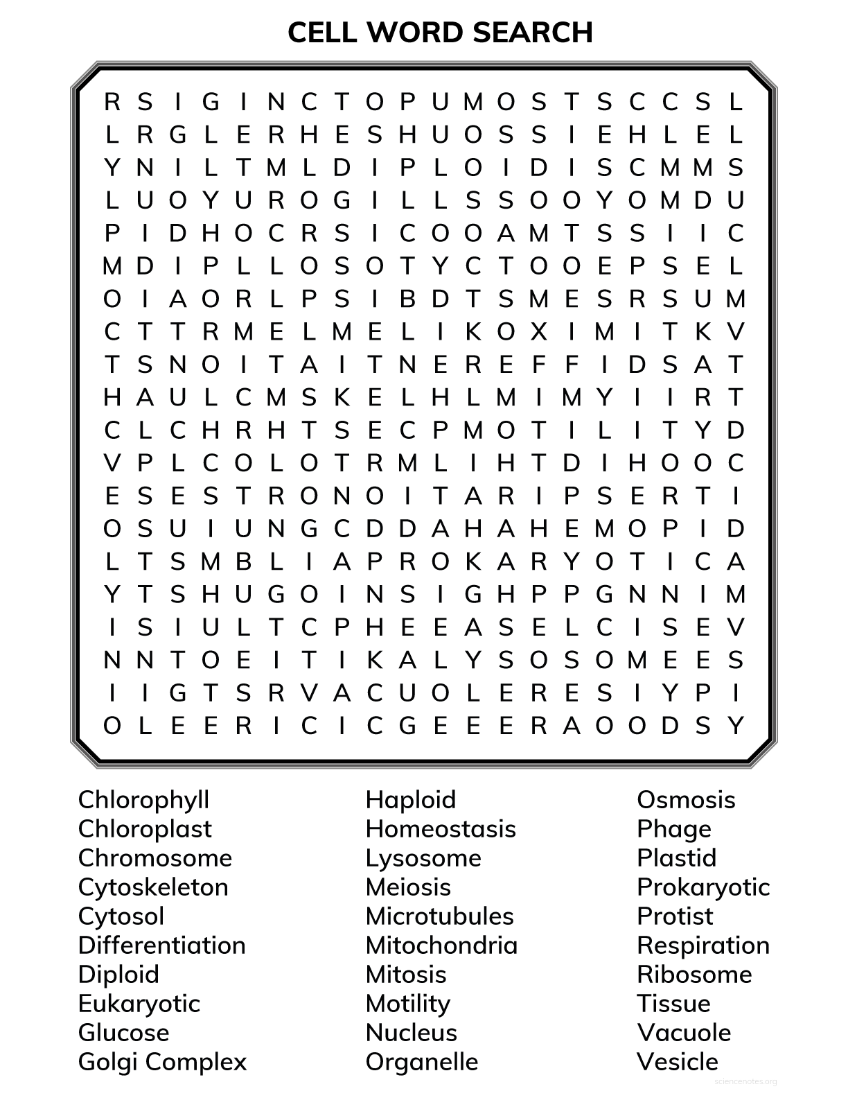 Cell Biology Word Search