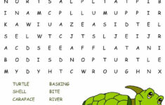 Easy Word Search Puzzles Turtle K5 Worksheets Easy Word Search