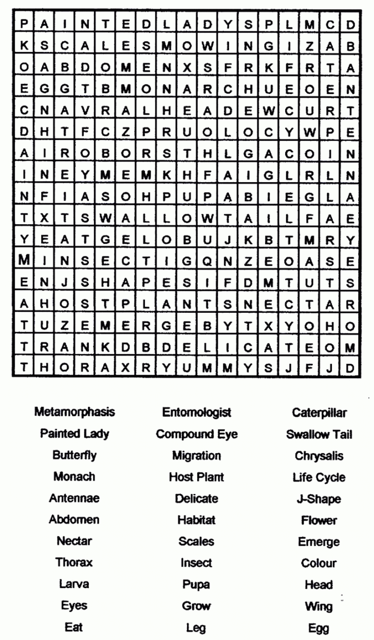 Free Printable Adult Word Search