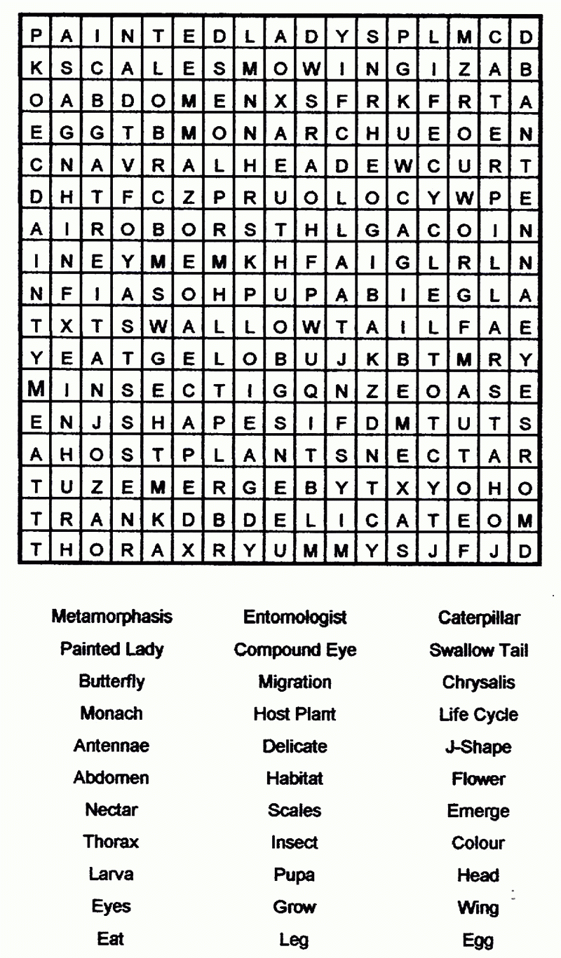 Free Printable Word Searches For Adults Large Print Free Printable