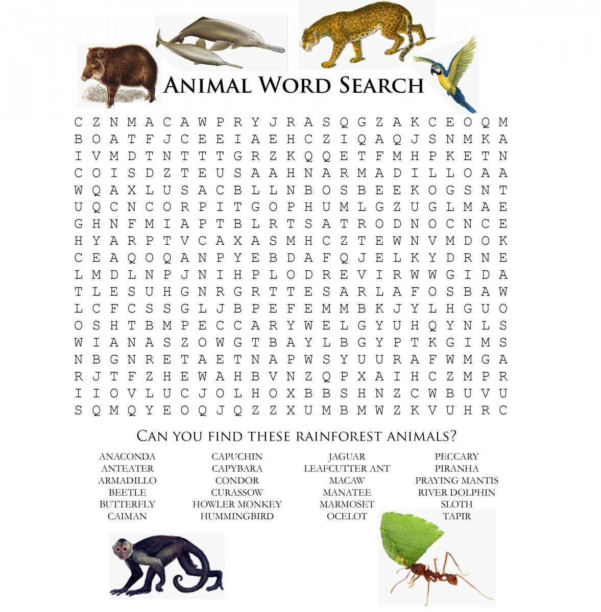 Printable Fun Word Searches Printable Word Search