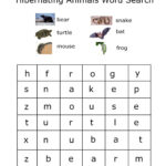 Hibernating Word Search Suitable For PreK Kindergarten Worksheets