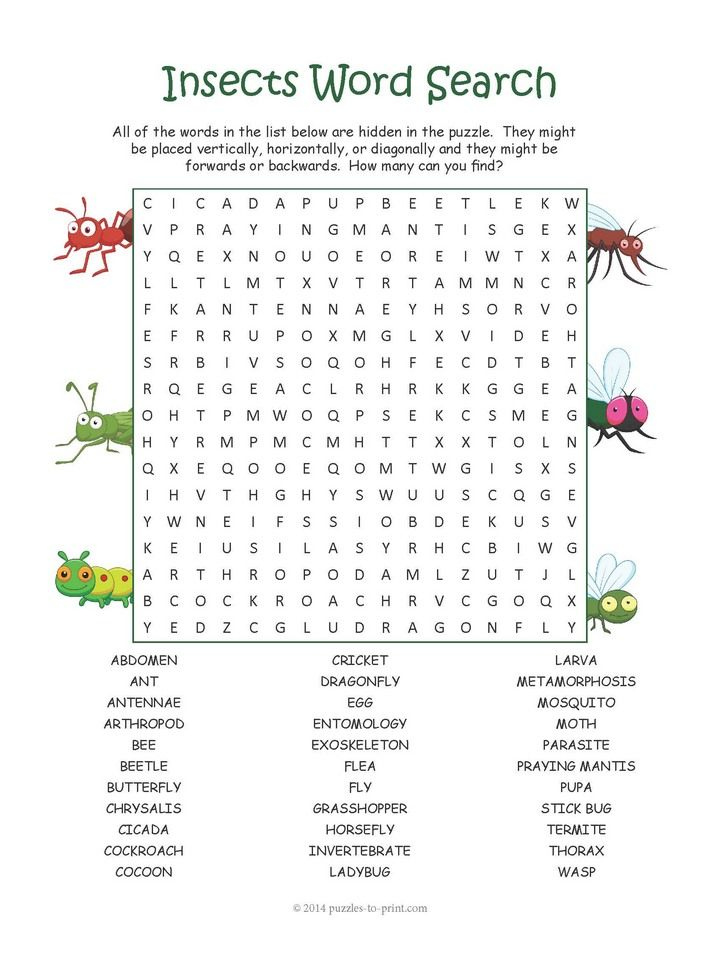Insect Word Search Puzzle Word Puzzles For Kids School Age 