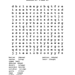 Printable Spanish Word Search Puzzles Word Search Printable