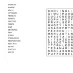 The Everything Easy Large Print Word Search Book Volume 8 Book By
