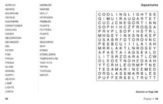 The Everything Easy Large Print Word Search Book Volume 8 Book By