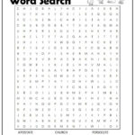 The Holy Bible Word Search Monster Word Search