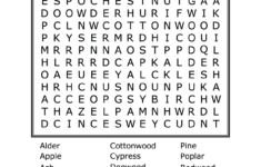 Trees Word Search
