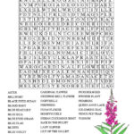 Wildflower Word Search Adults
