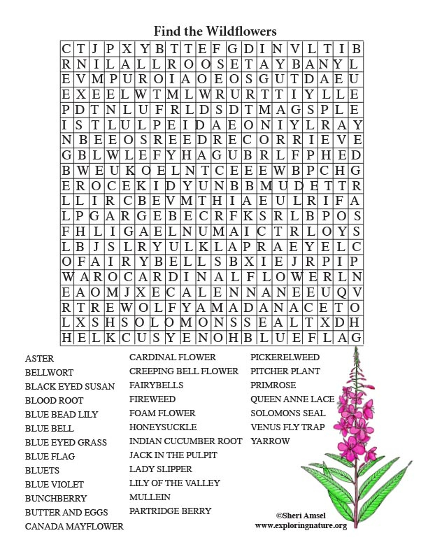 Wildflower Word Search Adults 