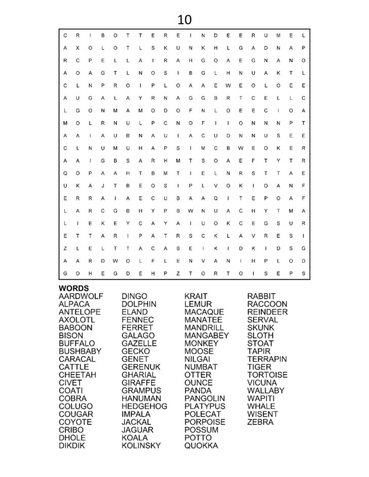 Large Printable Word Search For Adults