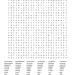 Books Of The Bible Word Search   Wordmint With Bible Word Search Printable