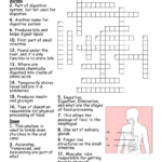 Digestion & Nutrition Word Search   Wordmint In Free Printable Word Search Reader&#039;s Digest