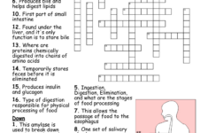 Digestion & Nutrition Word Search – Wordmint in Free Printable Word Search Reader&#039;s Digest
