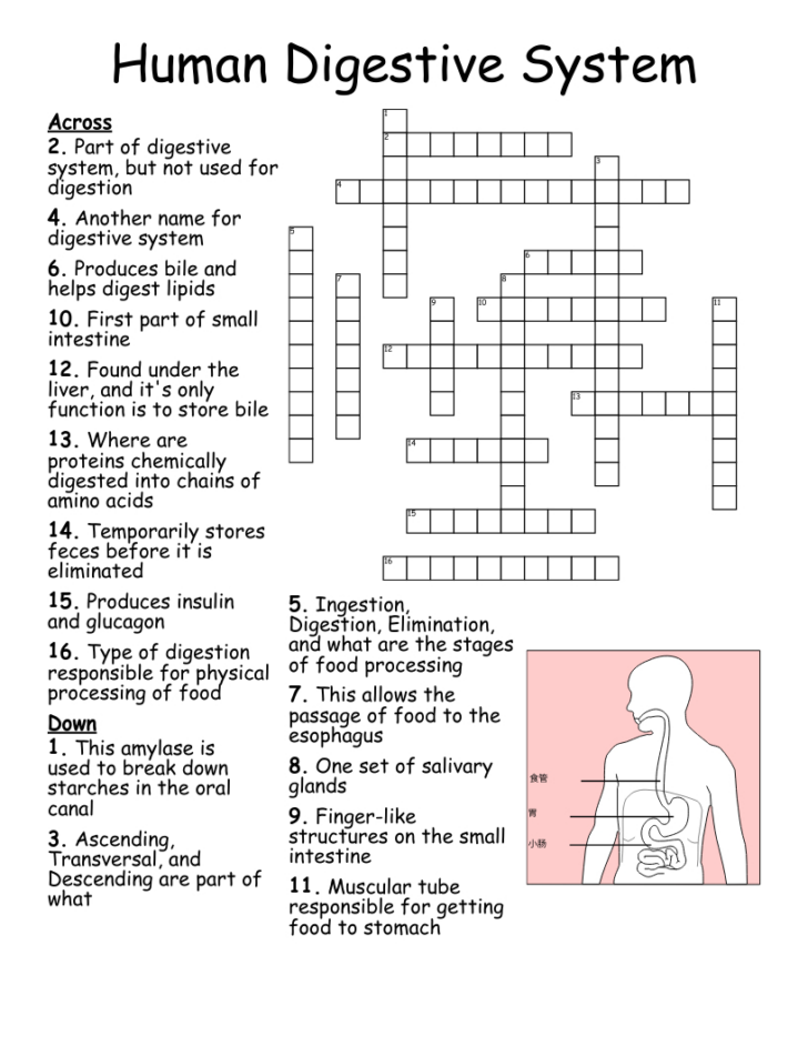Free Printable Word Search Reader’s Digest