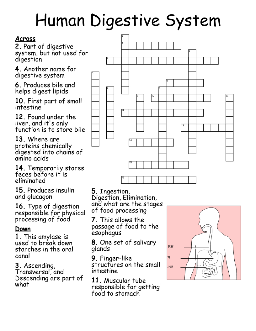 Digestion &amp;amp; Nutrition Word Search - Wordmint in Free Printable Word Search Reader&amp;amp;#039;s Digest