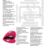 Digestion & Nutrition Word Search   Wordmint Pertaining To Free Printable Word Search Reader&#039;s Digest