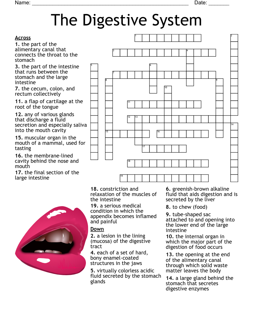 Digestion &amp;amp; Nutrition Word Search - Wordmint pertaining to Free Printable Word Search Reader&amp;amp;#039;s Digest