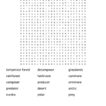 Earth Science Word Search   Wordmint For Science Word Search Puzzles Printable