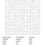 Human Organs Word Search   Wordmint For Reader'S Digest Free Word Search