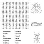 Insect Themed Word Searches • Beeloo Printable Crafts And With Printable Word Search For Kids 6 8