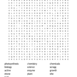 Ks3 Science Wordsearch   Wordmint Pertaining To Ks3 Word Search Printable