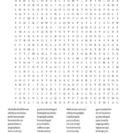 Medical Terminology Word Search   Wordmint Throughout Medical Word Search Puzzles Printable Medical Terminology Word Search   Wordmint Throughout Medical Word Search Puzzles Printable