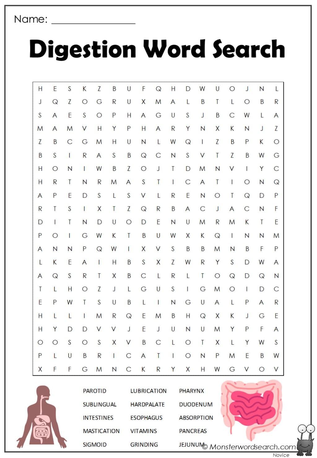 Digestion Word Search