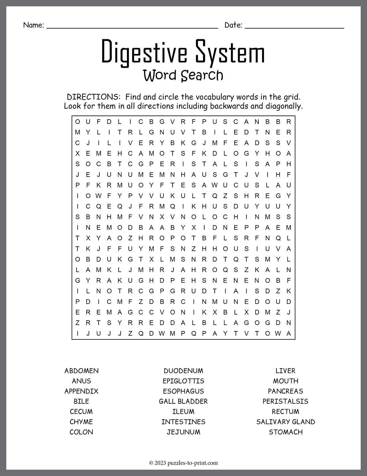 Digestive System Word Search shtml Digestive System Word Search shtml