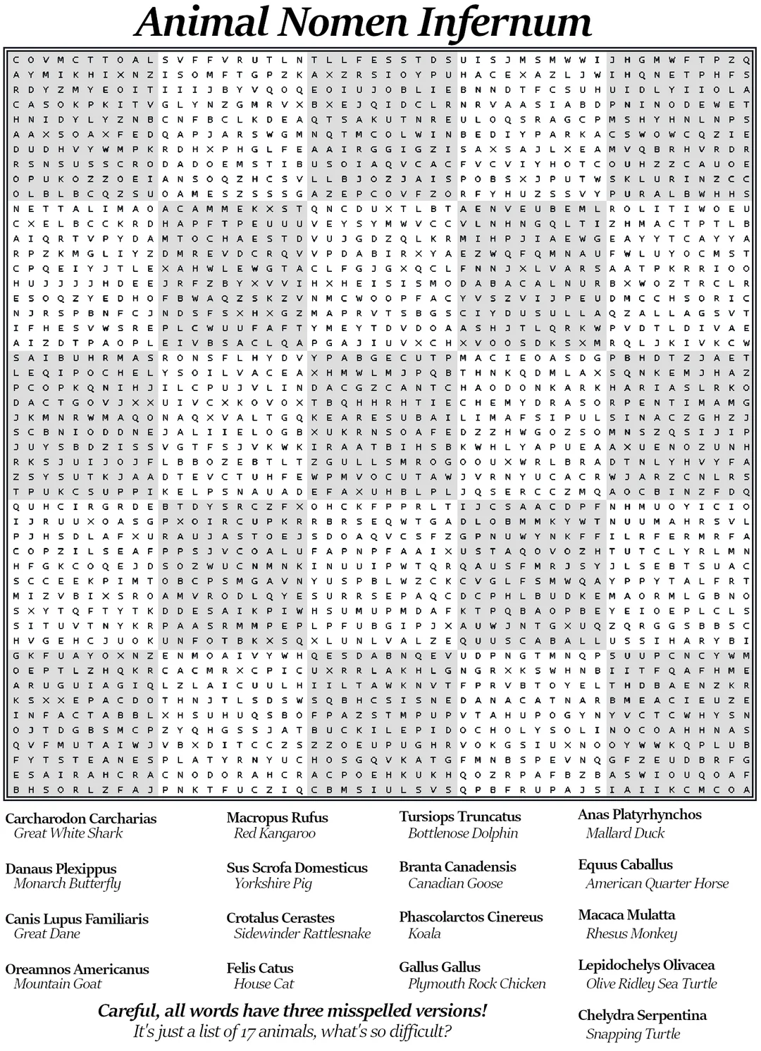 I Made A Difficult Word Search For My Mother Who