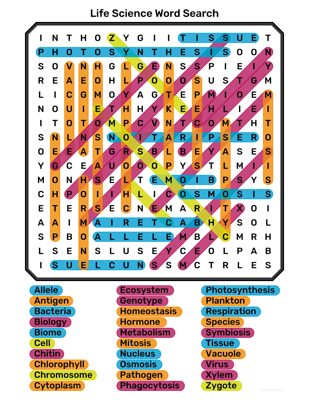 Life Science Word Search Life Science Word Search